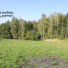 Działka Golkowice