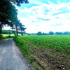 Działka Słupice ul. Złoty Widok