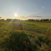 Działka Grodzisko ul. Grodzisko