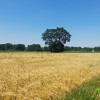 Działka Grodzisko ul. Grodzisko