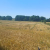 Działka Grodzisko ul. Grodzisko