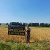 Działka Grodzisko ul. Grodzisko