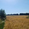 Działka Grodzisko ul. Grodzisko