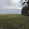 Działka Białokury