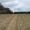 Działka Białokury