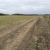 Działka Białokury