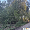 Działki budowlane 100 m od Zalewu Zegrzyńskiego