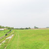 Działka Gąski