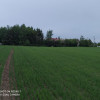 Działka Czernin ul. Czernin