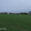 Działka Czernin ul. Czernin