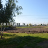 Dom Zalipie