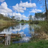 Działka Charzyno