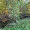 Działka Gościno