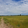 Działka Czernin