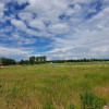 Działka Czernin