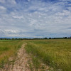 Działka Czernin