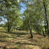 Działka Tuchów