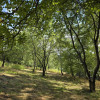 Działka Tuchów