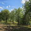 Działka Tuchów