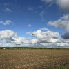 Działka Charzyno