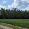 Działka Kołobrzeg