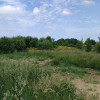Działka Kołobrzeg