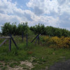 Działka Kołobrzeg