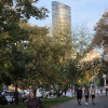 ## ? MANIFEST: KRUCZA BOYS 78 – KLUCZE DO OJCZYZNY! ???## To nie jest zwykła sprzedaż. To Globalny Happening. To Quantum Doskonałości!