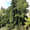 Mieszkanie Warszawa Bielany, Stare Bielany ul. Marymoncka