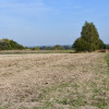 Działka rolno-budowlana 43a - Strażów