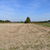Działka rolno-budowlana 43a - Strażów