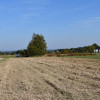 Działka rolno-budowlana 43a - Strażów