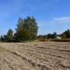 Działka rolno-budowlana 43a - Strażów