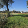 Wydana WZ na dom jednorodzinny.Zagajnik ze stawem na działce lasy