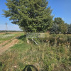Wydana WZ na dom jednorodzinny.Zagajnik ze stawem na działce lasy