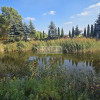 Wydana WZ na dom jednorodzinny.Zagajnik ze stawem na działce lasy