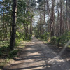 Działka budowlana w lesie, Łosie koło Radzymina
