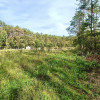 Działka Helenów