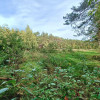 Działka Helenów