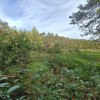 Działka Helenów