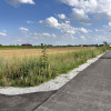Działka Spalona Szczytniki Małe ul. Różana