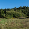 Działka Gorzewo