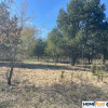 Idealne miejsce na dom,6241 m² blisko lasu i rzeki