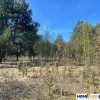 Idealne miejsce na dom,6241 m² blisko lasu i rzeki