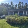 Siedlisko 1,1 ha (dwa domy) przy lesie - Siekierka Nowa gm. Chotcza.