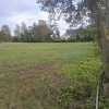 Działka Wola Błędowska