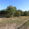 Działka budowlana 15 ar Kozioł g. Baranów