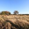 Działka budowlana 15 ar Kozioł g. Baranów