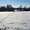 Piękna działka rolno-budowlana, Żminne, Parczew.