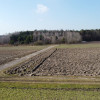 Piękna działka rolno-budowlana, Żminne, Parczew.
